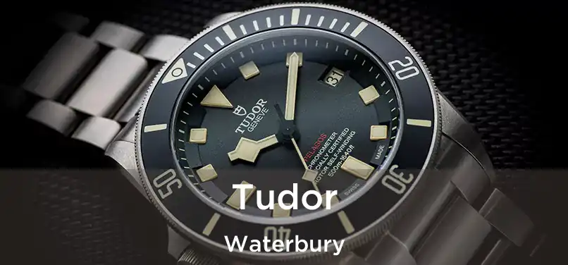 Tudor Waterbury