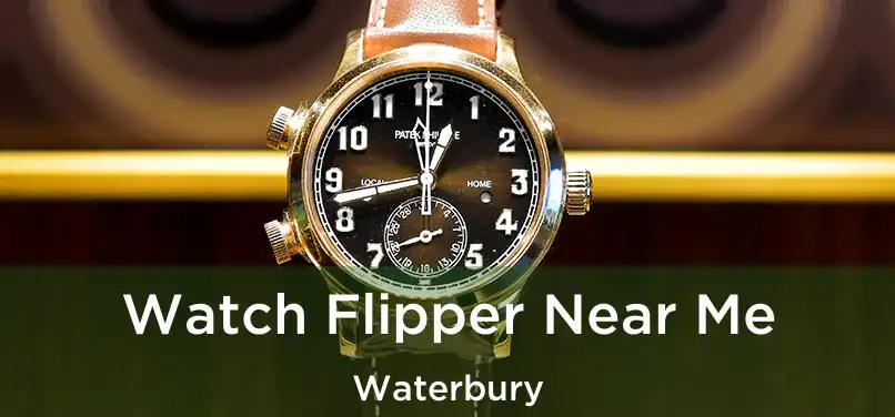 Watch Flipper Near Me Waterbury